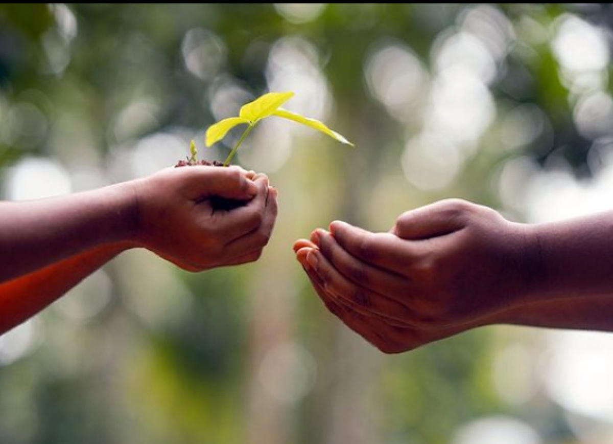 &Eta; &alpha;&pi;&omicron;&kappa;&alpha;&tau;ά&sigma;&tau;&alpha;&sigma;&eta; &tau;&omega;&nu; &omicron;&iota;&kappa;&omicron;&sigma;&upsilon;&sigma;&tau;&eta;&mu;ά&tau;&omega;&nu; &epsilon;ί&nu;&alpha;&iota; &eta; &alpha;&pi;&omicron;&sigma;&tau;&omicron;&lambda;ή &tau;&eta;&sigmaf; &epsilon;&pi;ό&mu;&epsilon;&nu;&eta;&sigmaf; &delta;&epsilon;&kappa;&alpha;&epsilon;&tau;ί&alpha;&sigmaf; &gamma;&iota;&alpha; &omicron;&lambda;ό&kappa;&lambda;&eta;&rho;&eta; &tau;&eta;&nu; &alpha;&nu;&theta;&rho;&omega;&pi;ό&tau;&eta;&tau;&alpha;